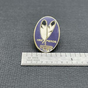 Nez Perce National Historical Park Souvenir Pin Badge Enamel ID WA MT OR PNW